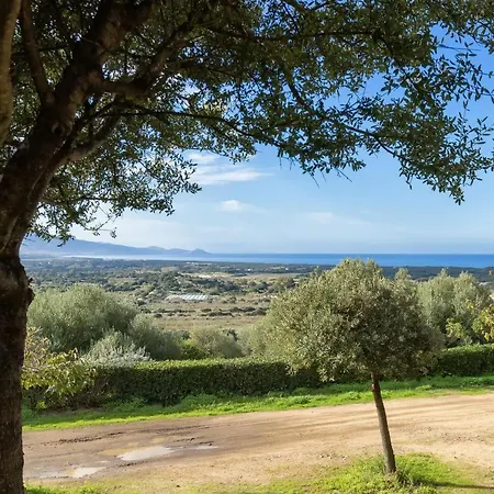Olivastro Sea View House Hébergement de vacances